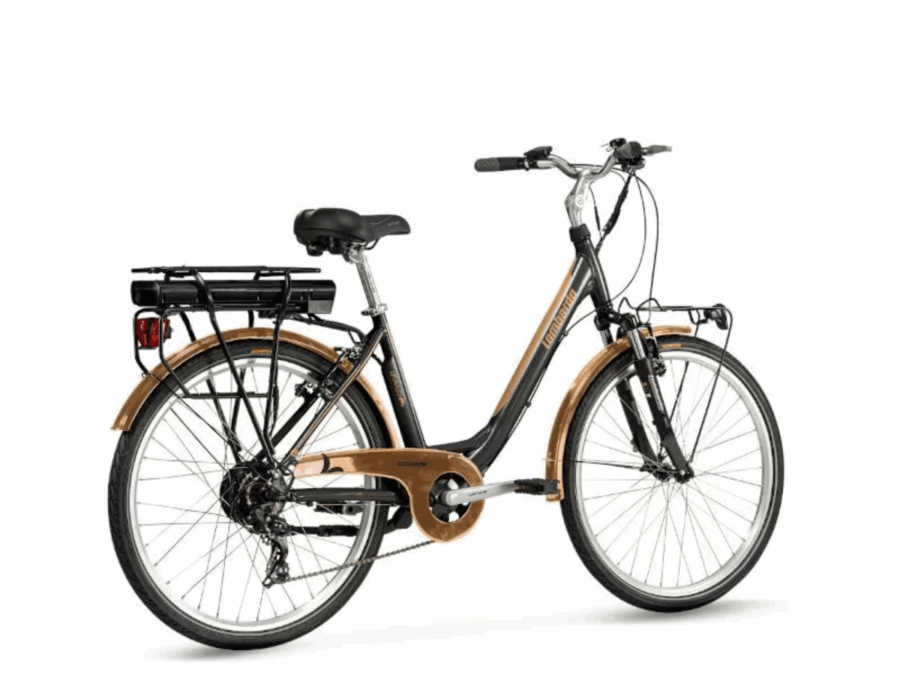 lombardo-levanzo-e-bike
