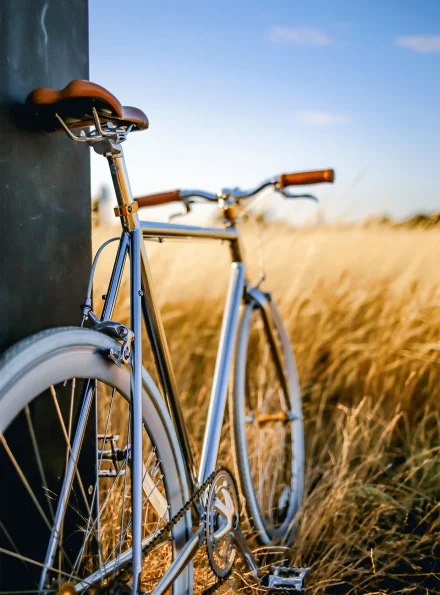 bike2000-biciclette-telai