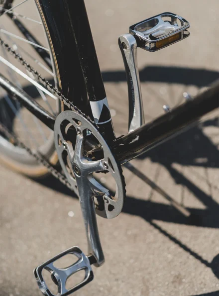 bike2000-pedivella