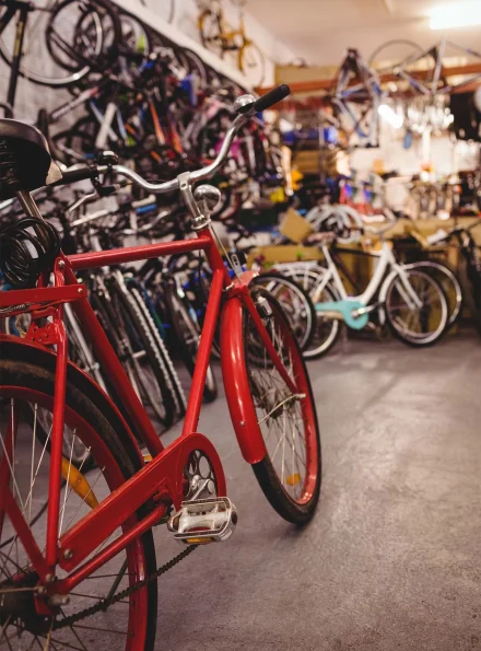 bike2000-usato